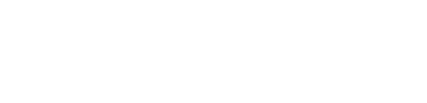 TechMotion Smart Living